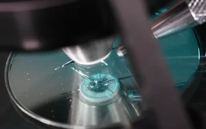Technician repairing a rock chip in a windshield